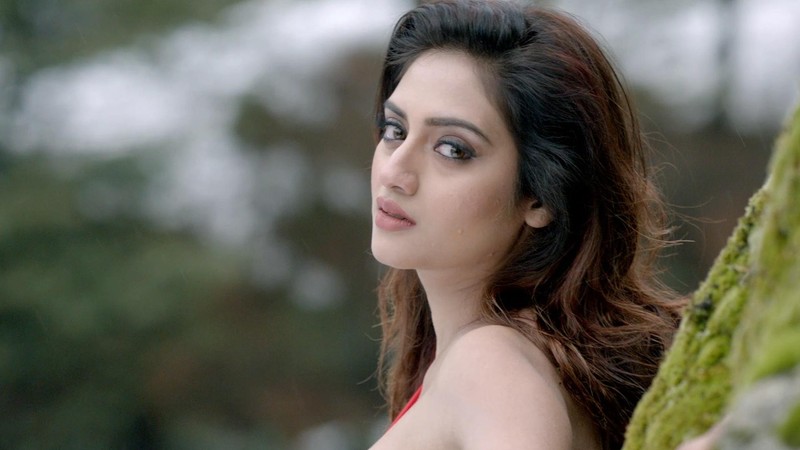 Jodi Bolo