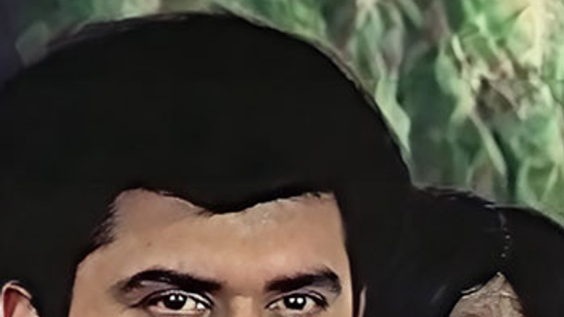 ABBAYI GARI PELLI