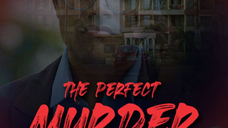 The Perfect Murder