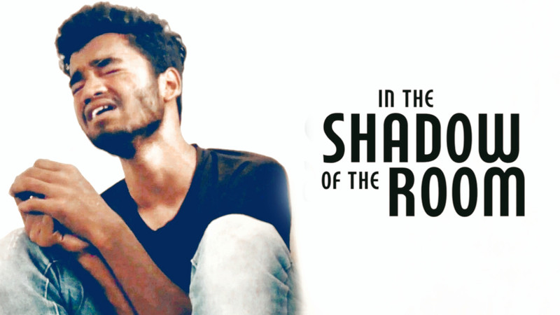 In The Shadow Of The Room