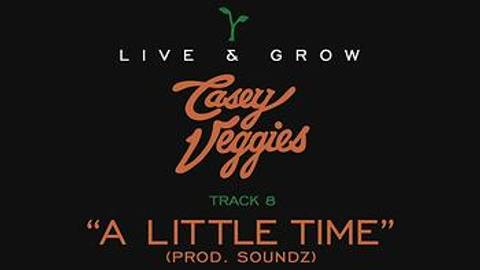 Live & Grow track by track Pt. 8 - "A Little Time"