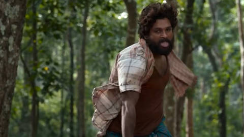 Introducing Pushpa Raj