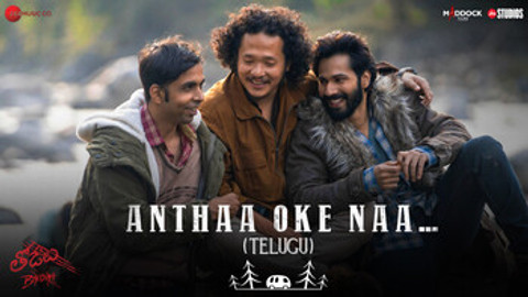 Anthaa Oke Naa - Bhediya Telugu (Video)