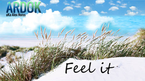 Feel It