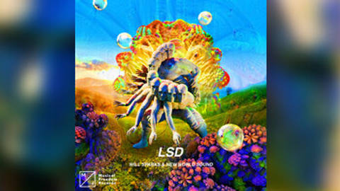 LSD