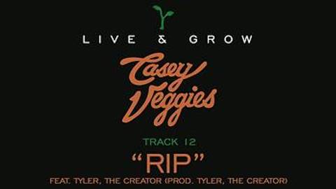 Live & Grow track by track Pt. 12 - "RIP"