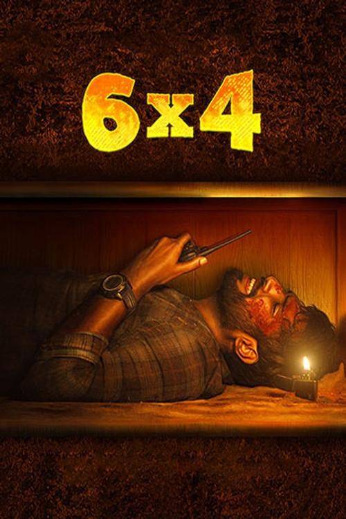 6x4