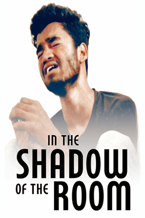In The Shadow Of The Room