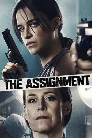 THE ASSIGNMENT