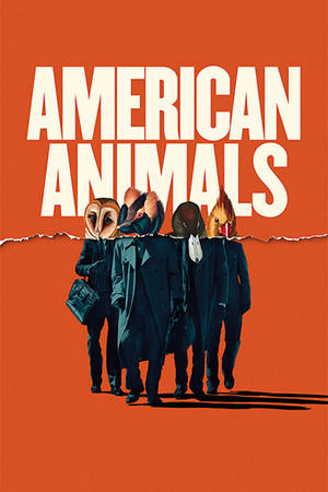 AMERICAN ANIMALS