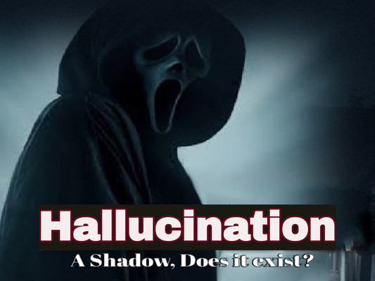 Hallucination A Shadow Does It Exist?