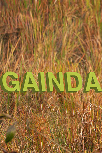 Gainda: A Conservation Story